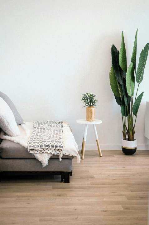 Subscribe for furniture updates